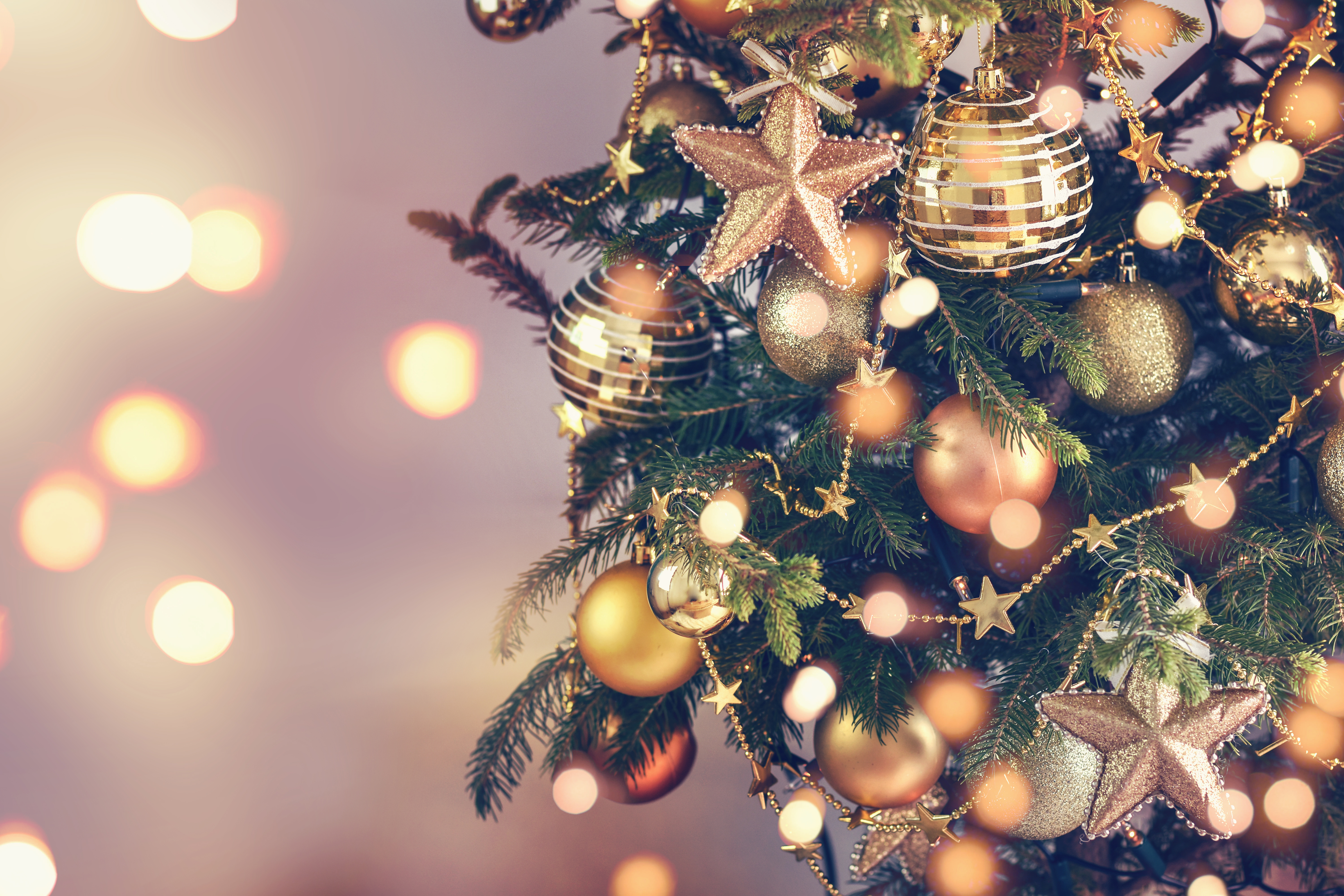 Nos formules - Chez Gerty - photo 19